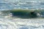 Christian Junker :: Shorey in Namib