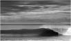 Durban March 2009