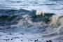 Kyle Cabano :: first time surfing here