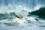 Wayne Gardener :: just another closeout