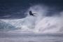 Ray Collins