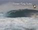 Unknown - :: %22Pull+the+Plug%22+framegrab...