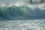 Camps Bay Shorey