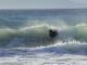 Steve McWilliams :: a small day at longbeach shore break