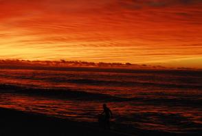 The talented Lisa, can produce some of the most amazing shots. There has been no photo shop to this master piece.