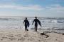 Patrick Acheson :: greg and i going for a surf